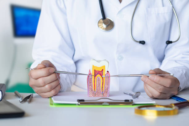 Best Emergency Dental Care for Broken or Chipped Teeth in Wheat Ridge, CO